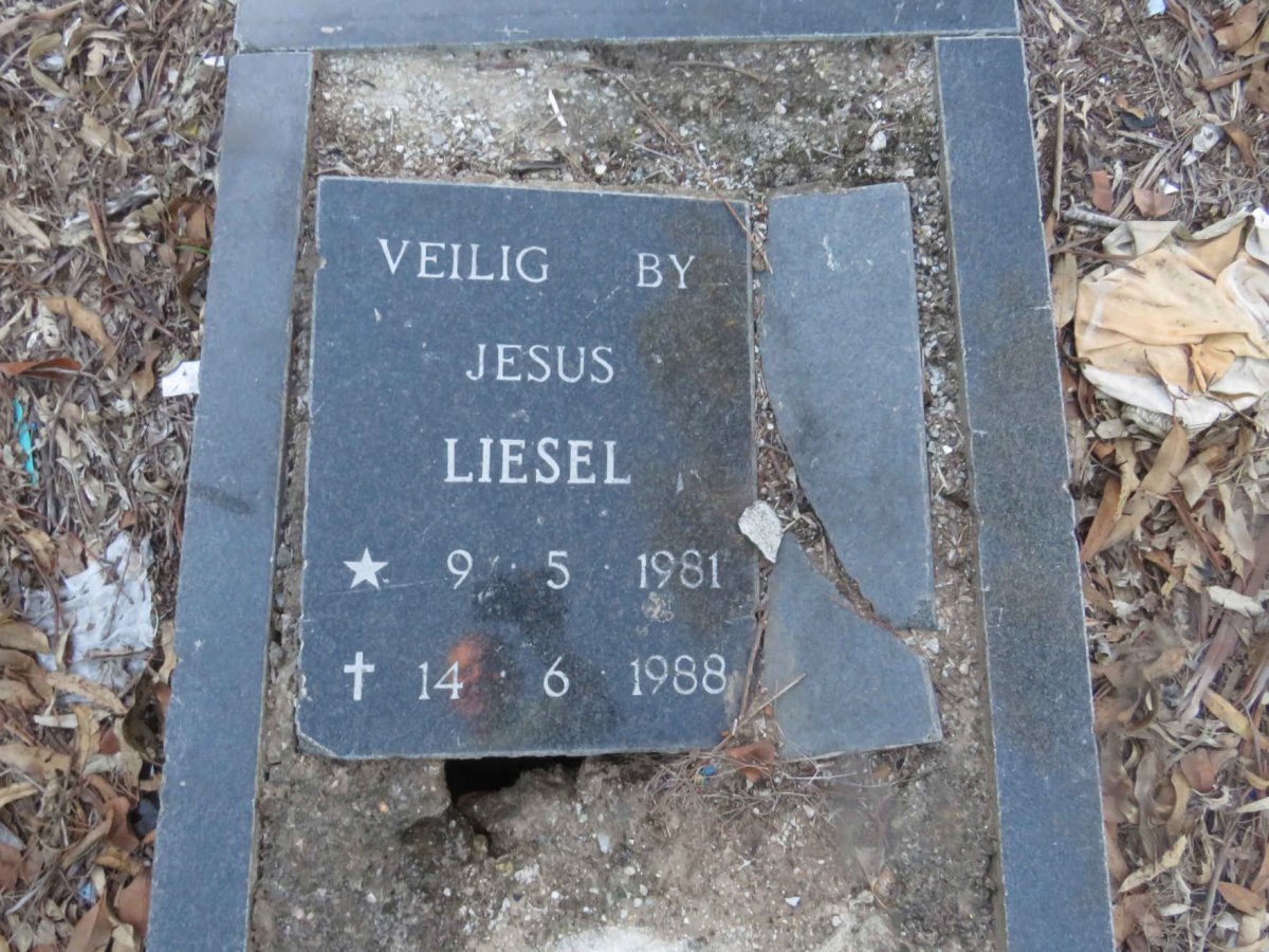 ? Liesel 1981-1988