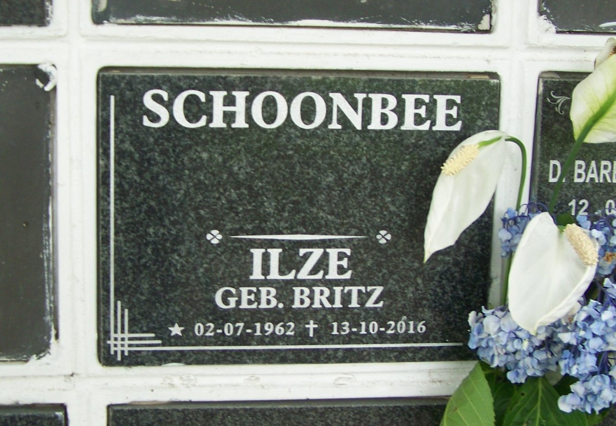 SCHOONBEE Ilze nee BRITZ 1962-2016