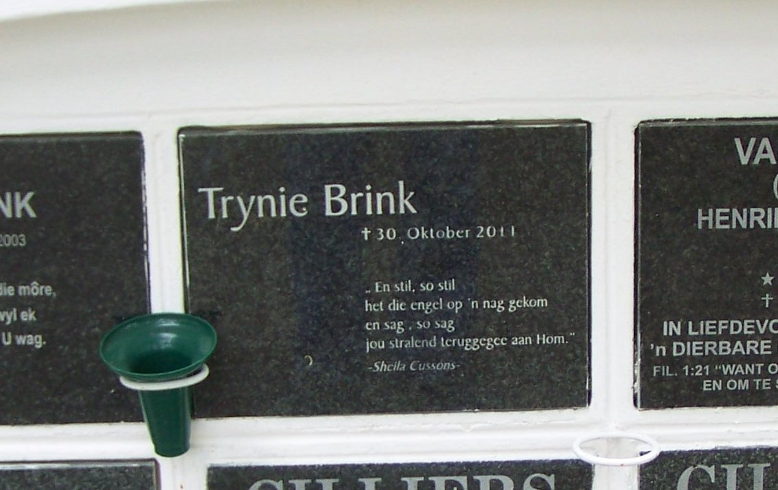 BRINK Trynie -2011