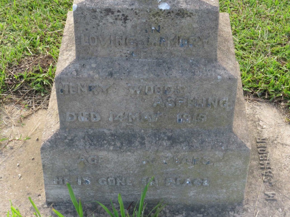ASPELING Henry Wood -1919