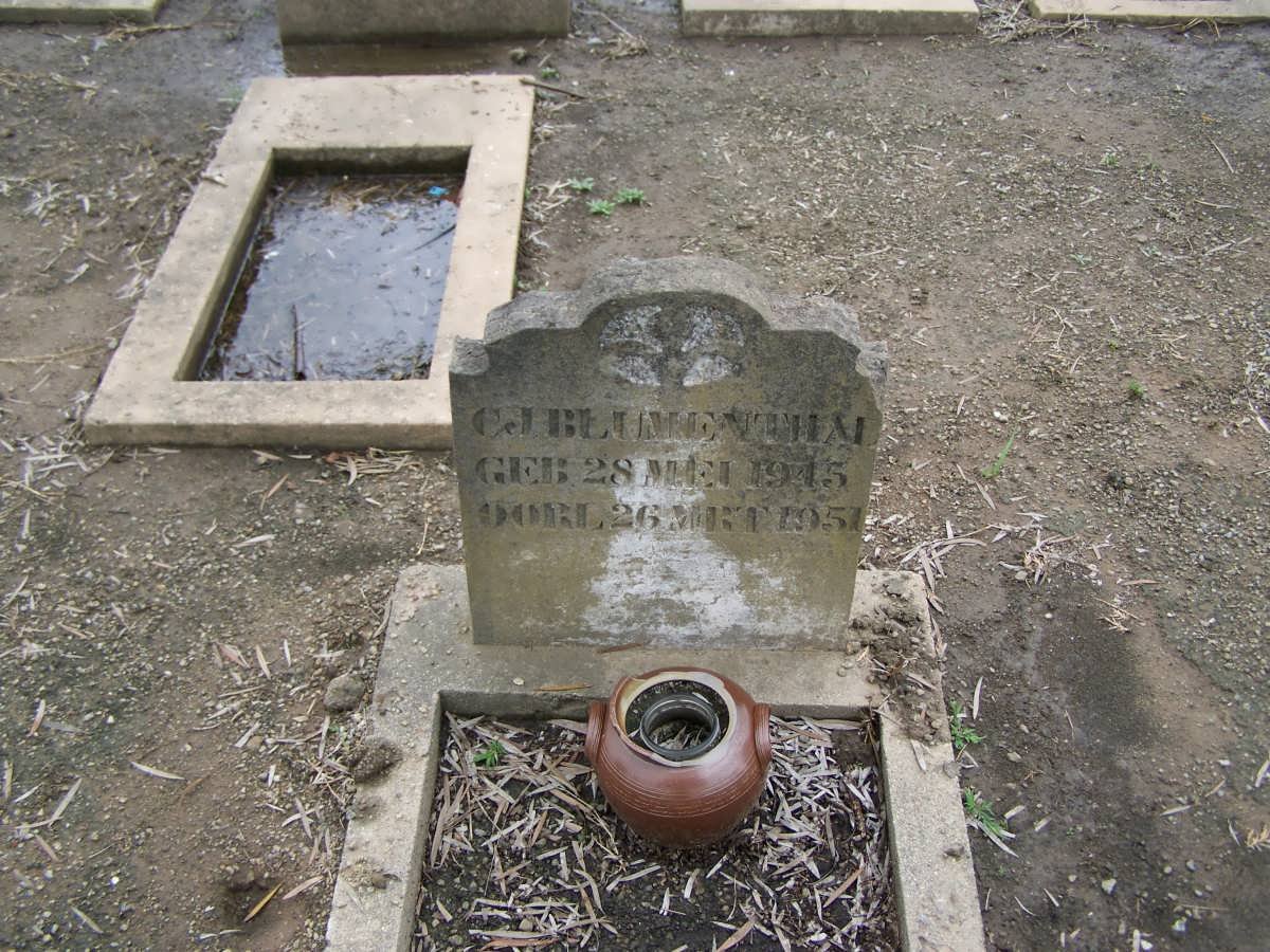 BLUMENTHAL C.J. 1945-1951
