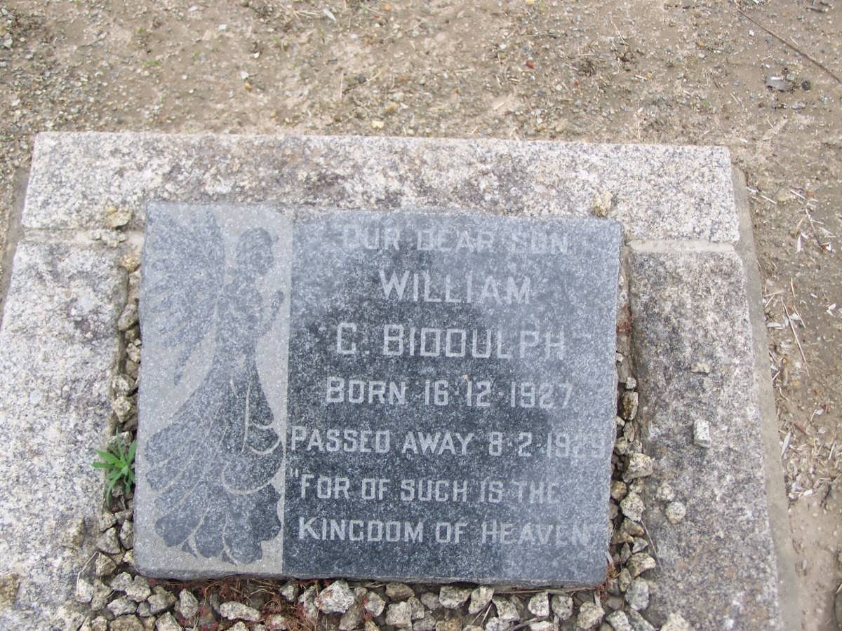 BIDDULPH William C. 1927-1929