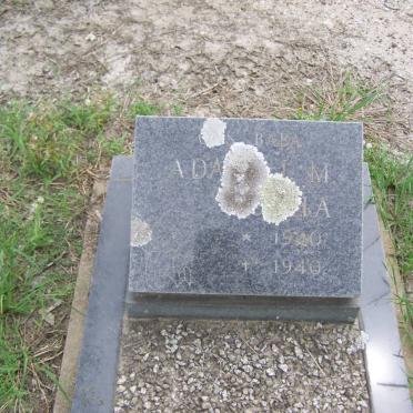 BOTHA Adam J.M. 1940-1940