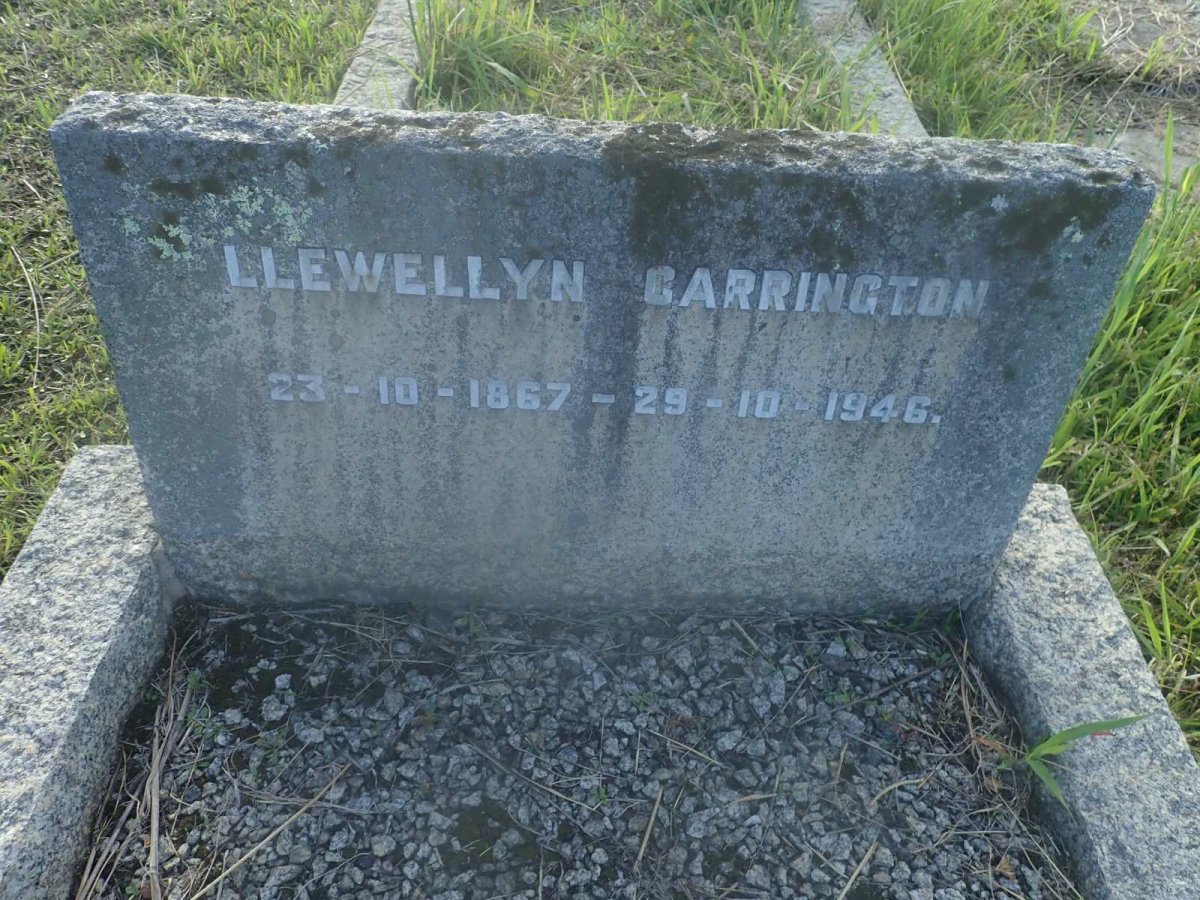 BARRINGTON Llewellyn 1867-1946