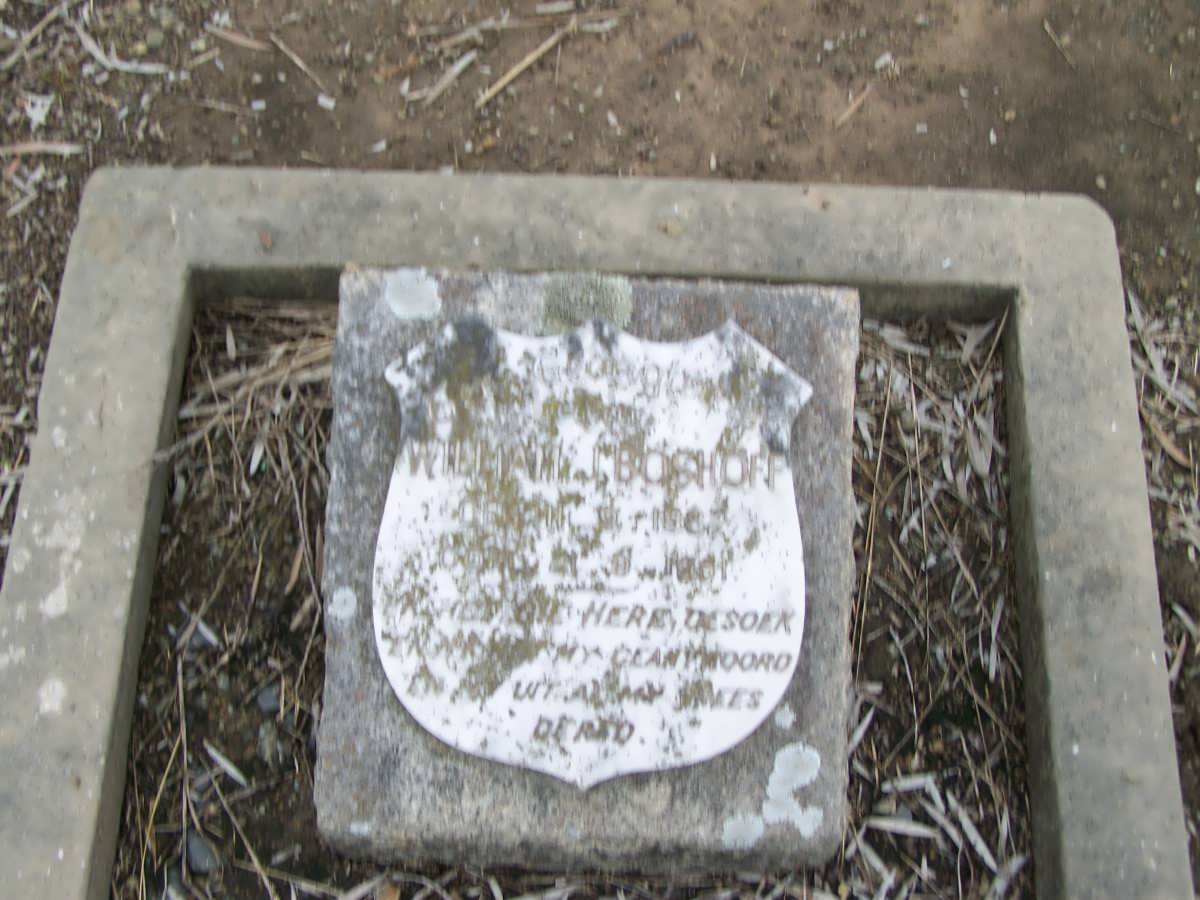 BOSHOFF William J. 1867-1901
