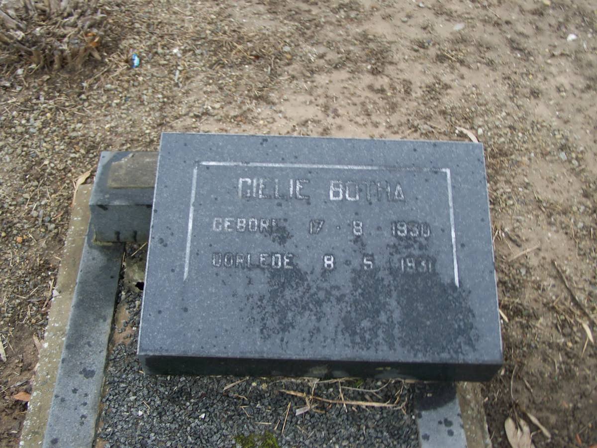 BOTHA Gielie 1930-1931
