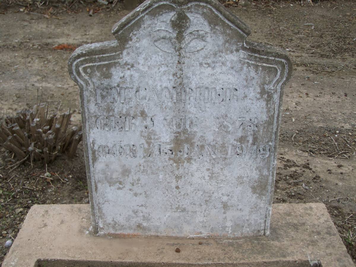 CAMPHER F.M. 1873-1949