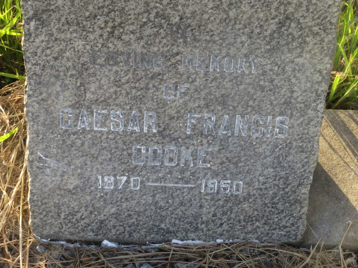 COOKE Caeser Francis 1870-1950