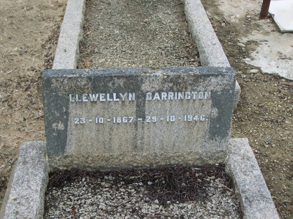 CARRINGTON Llewellyn 1867-1946