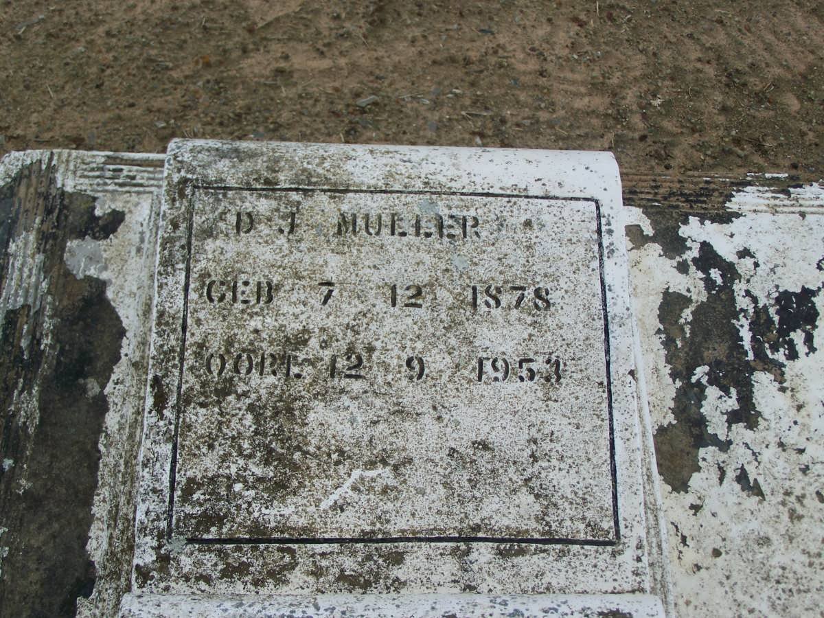 MULLER D.J. 1878-1953