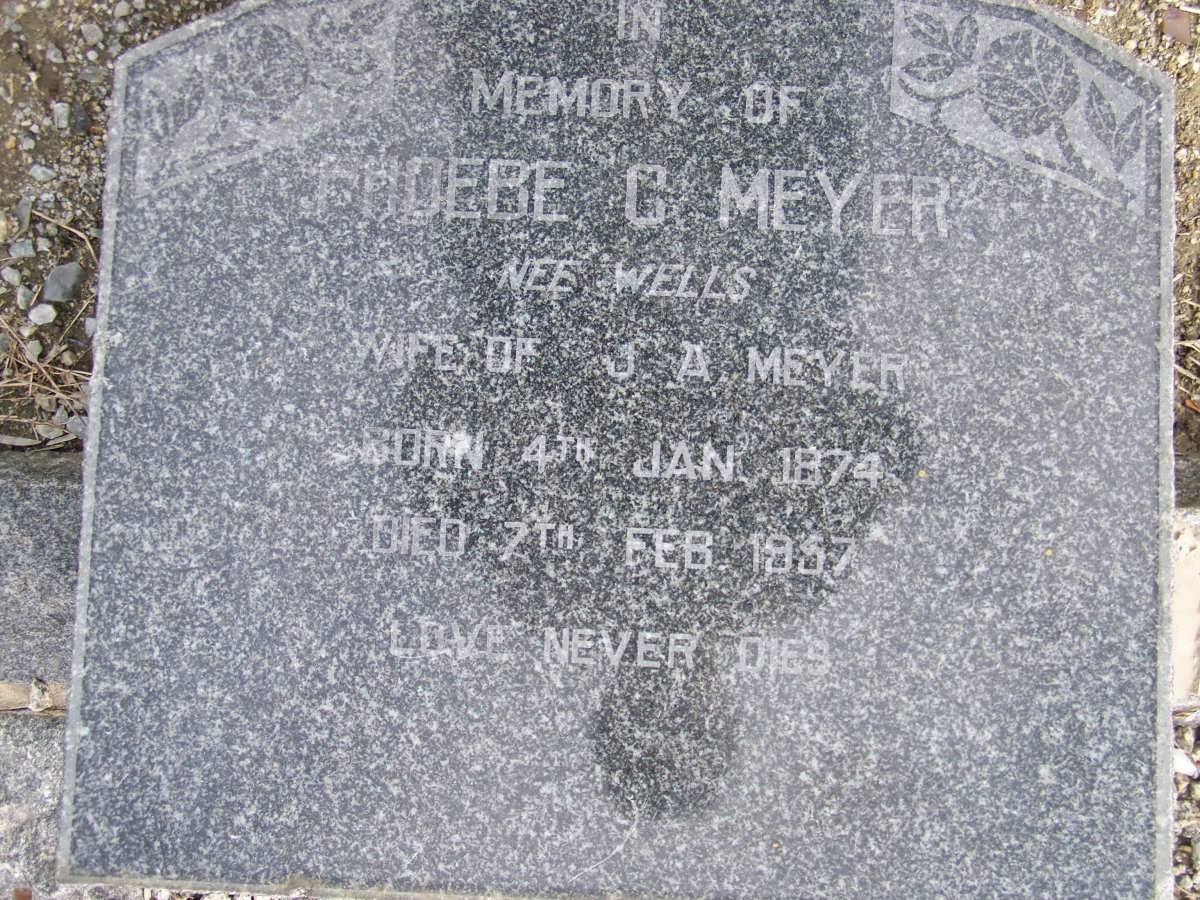 MEYER Phoebe C. nee WELLS 1874-1957