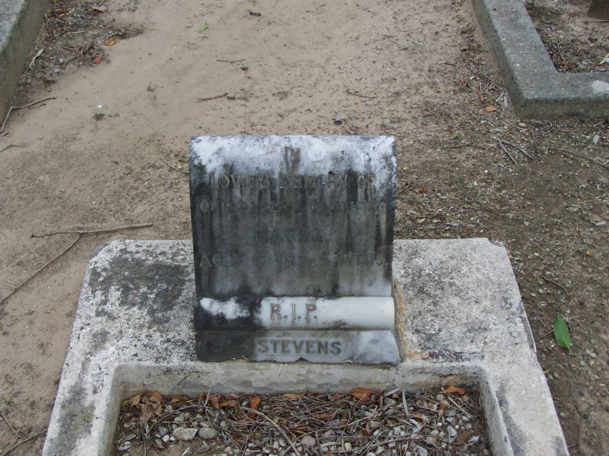 STEVENS Magda