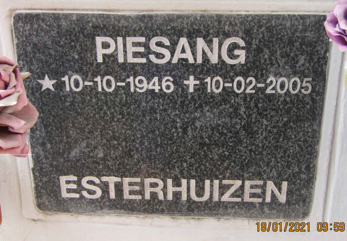 ESTERHUIZEN Piesang 1946-2005
