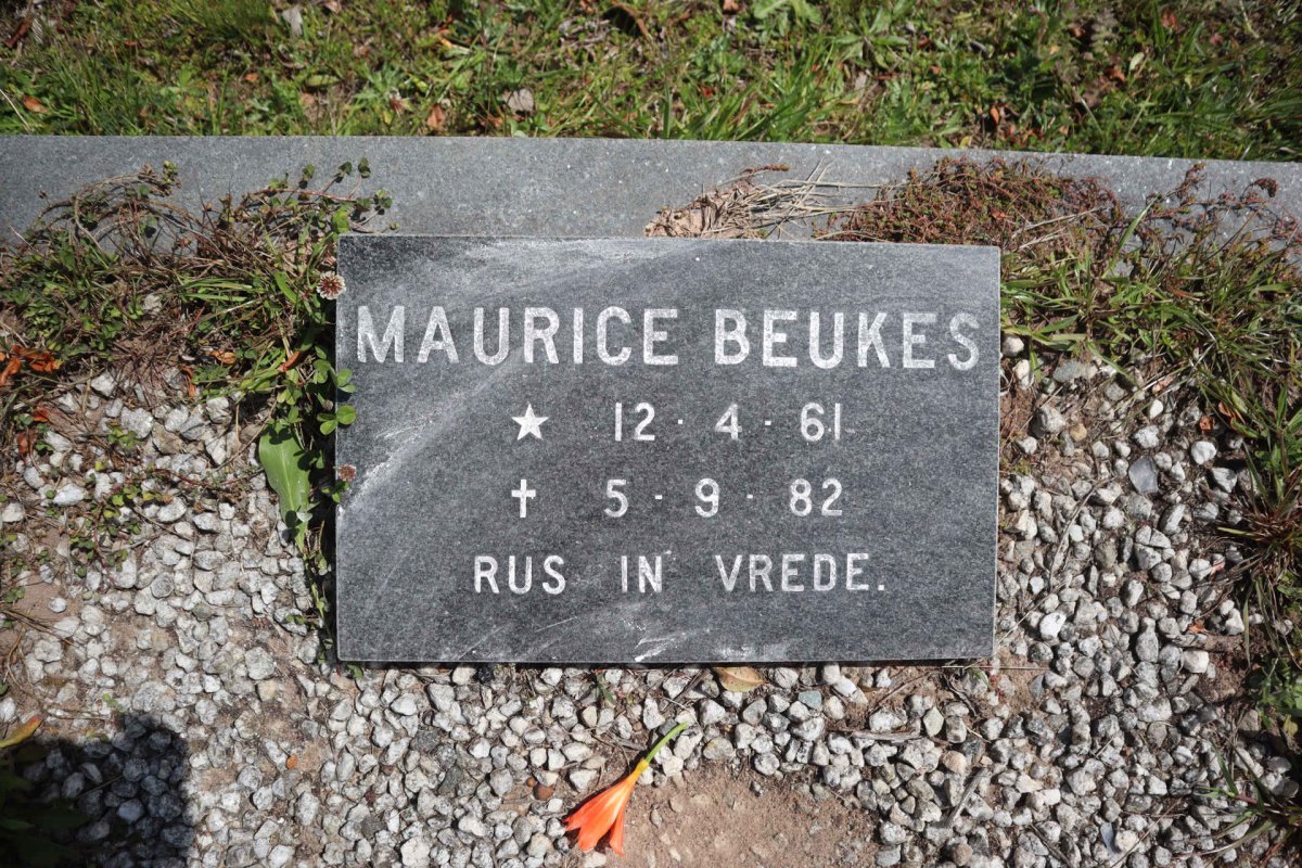 BEUKES Maurice 1961-1982