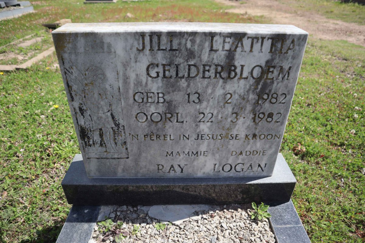 GELDERBLOEM Jill Leatitia 1982-1982