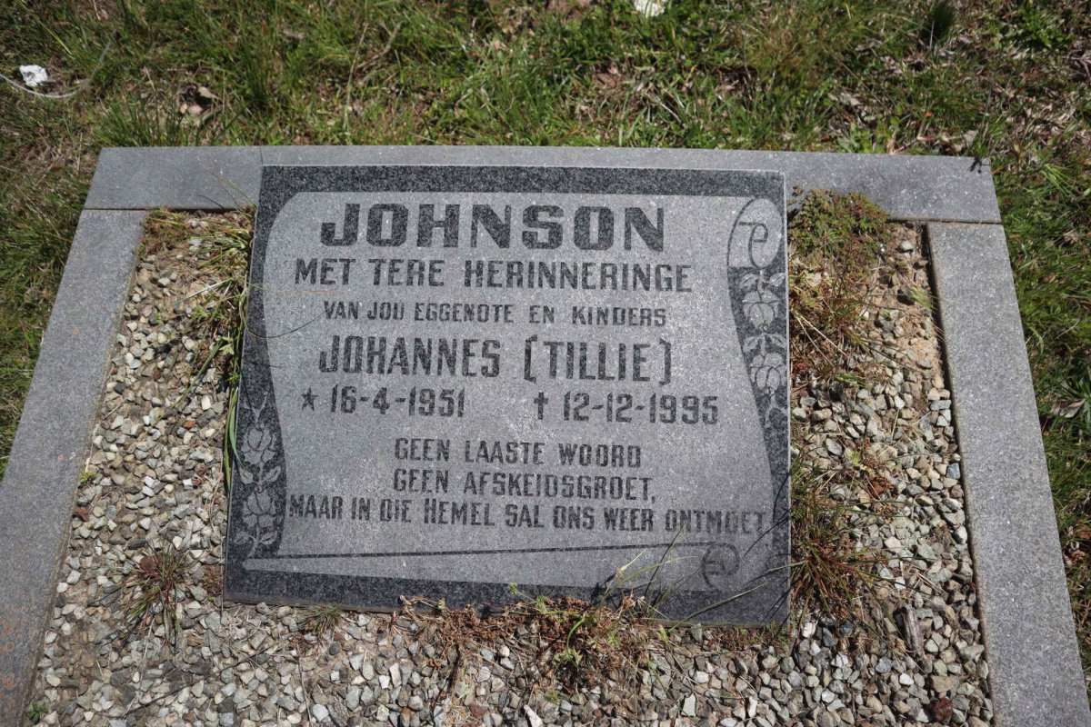 JOHNSON Johannes 1951-1995