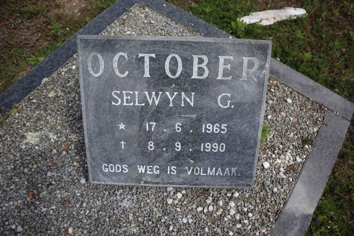OCTOBER Selwyn G. 1965-1990