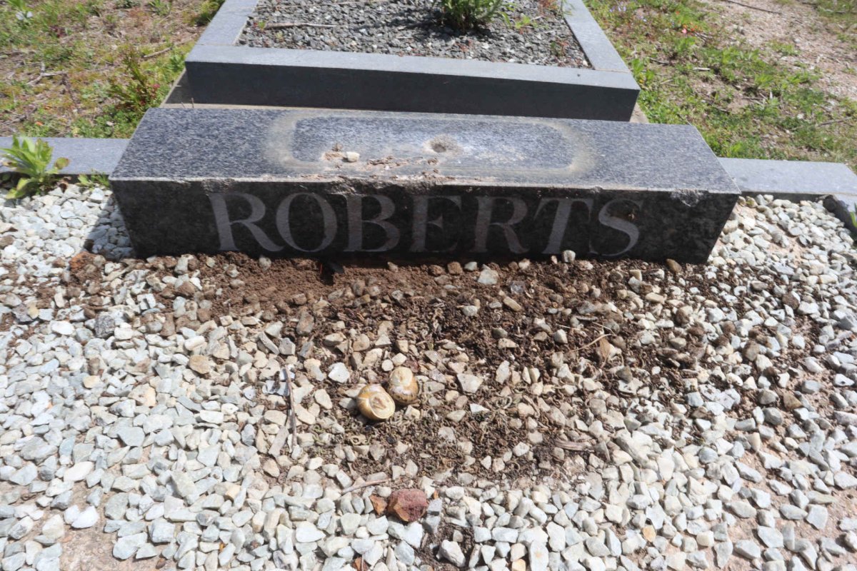 ROBERTS Jacobus Bartholomew 1921-1980 _2