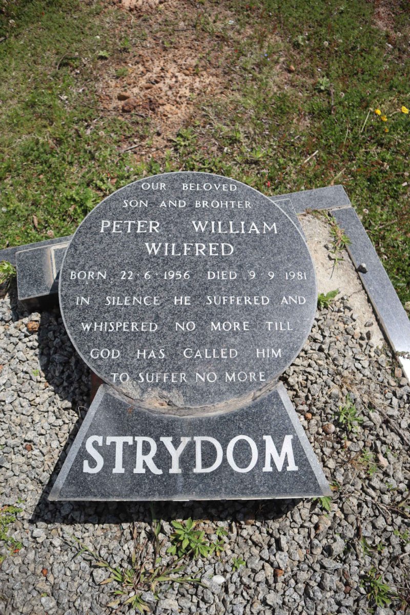 STRYDOM Peter William Wilfred 1956-1981