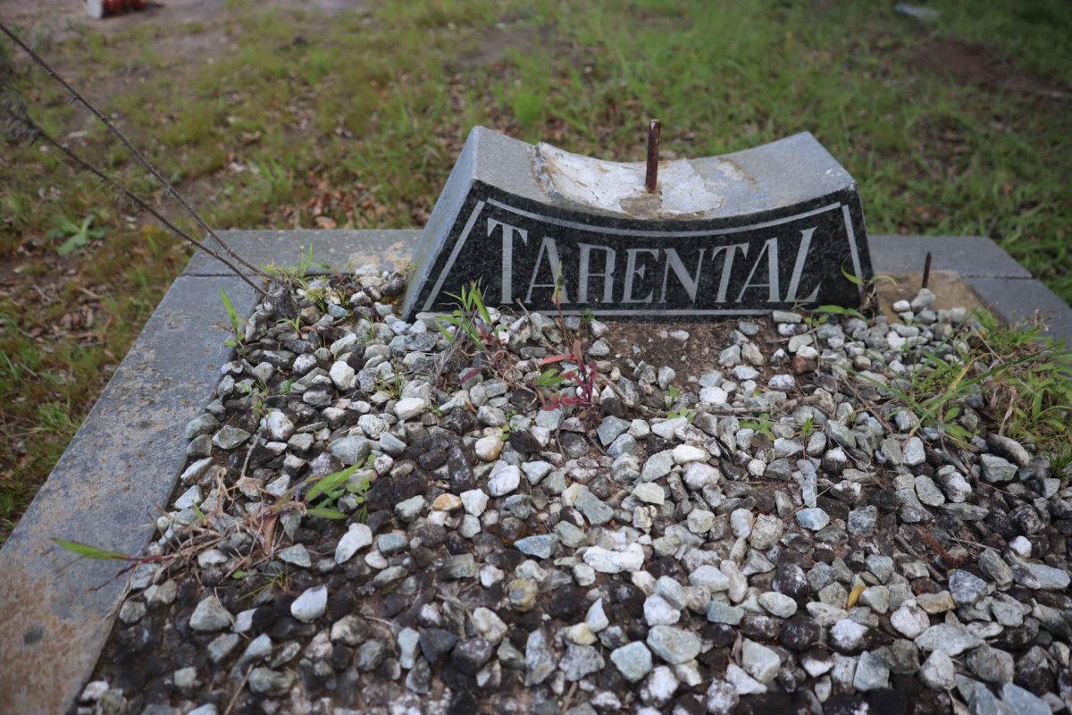 TARENTAL 