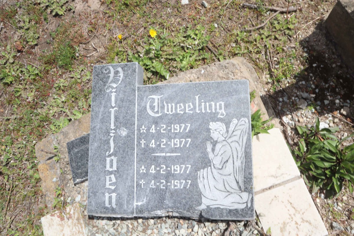 VILJOEN Tweeling 19977-1977