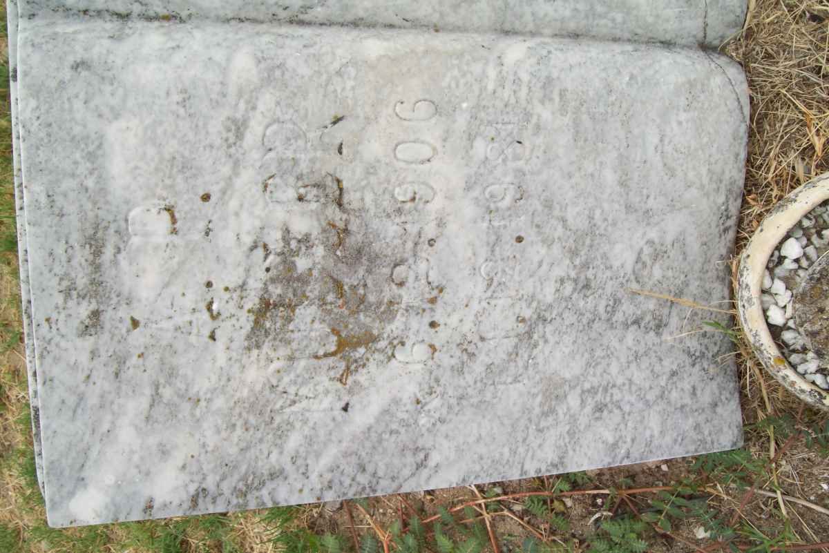MULLER A.P. 1906-1981