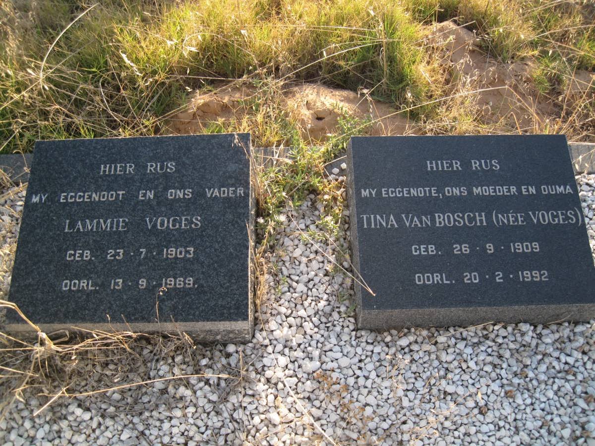 VOGES Lammie 1903-1969 ::  VAN BOSCH Tina nee VOGES 1909-1992