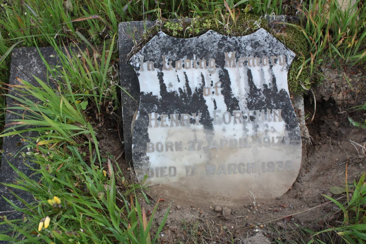 FORTUIN Henry 1917-1936