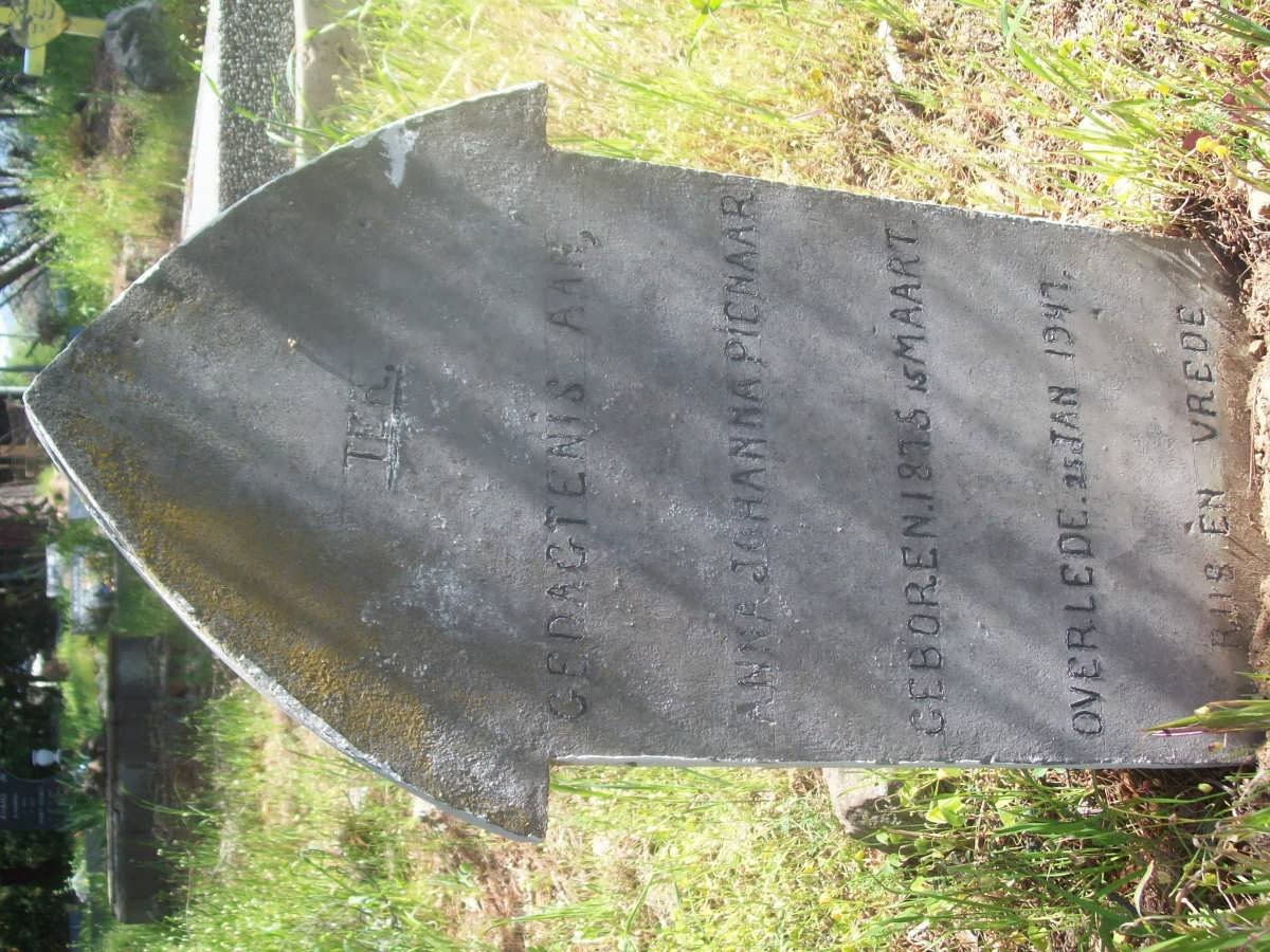 PIENAAR Anna Johanna 1875-1947