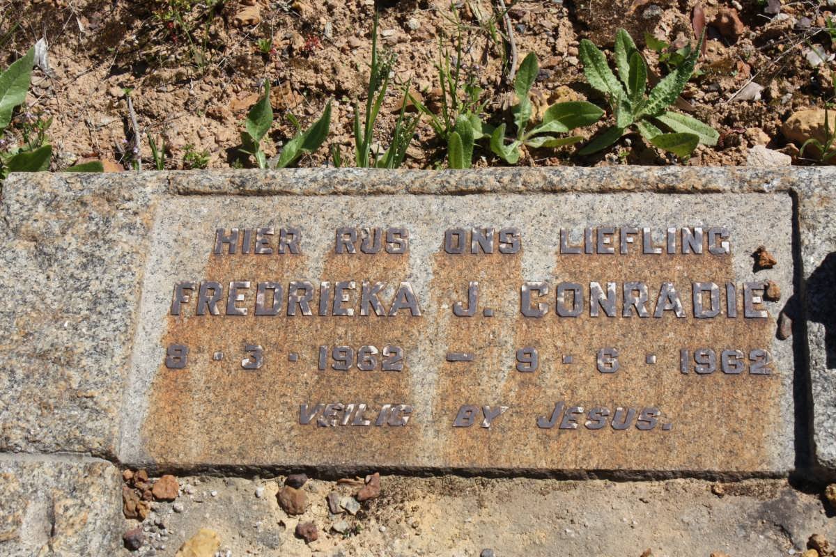 CONRADIE Fredrieka J. 1962-1962