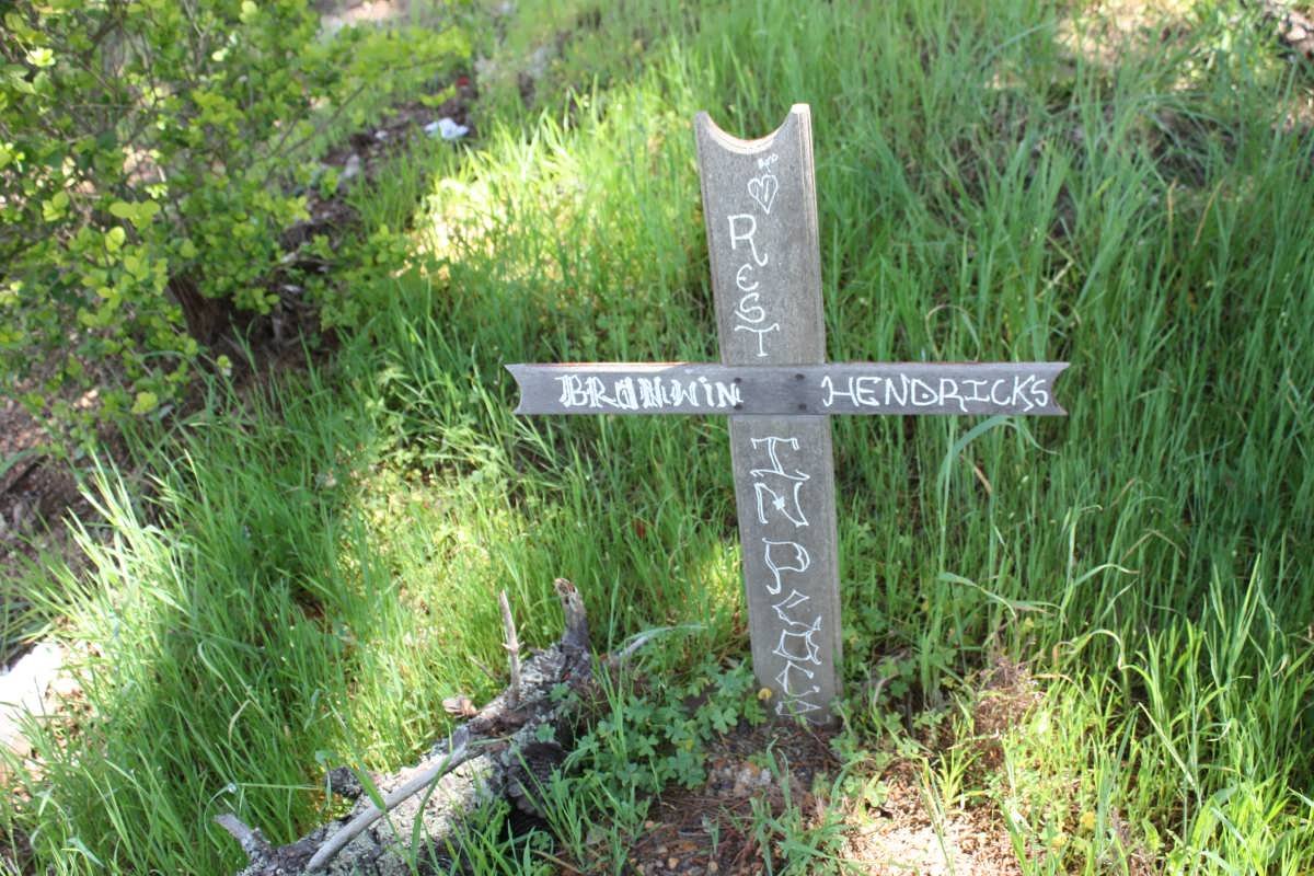 HENDRICKS Bronwin