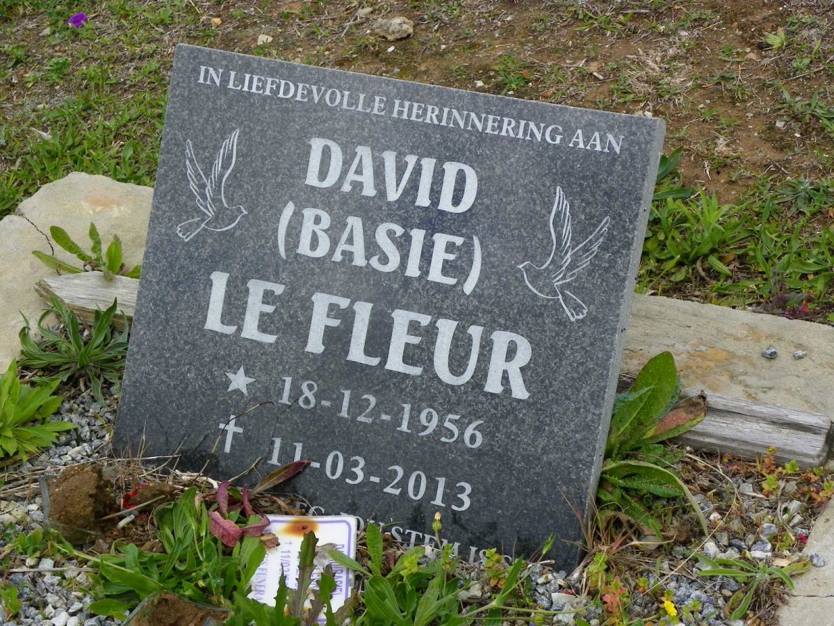 FLEUR David, le 1956-2013