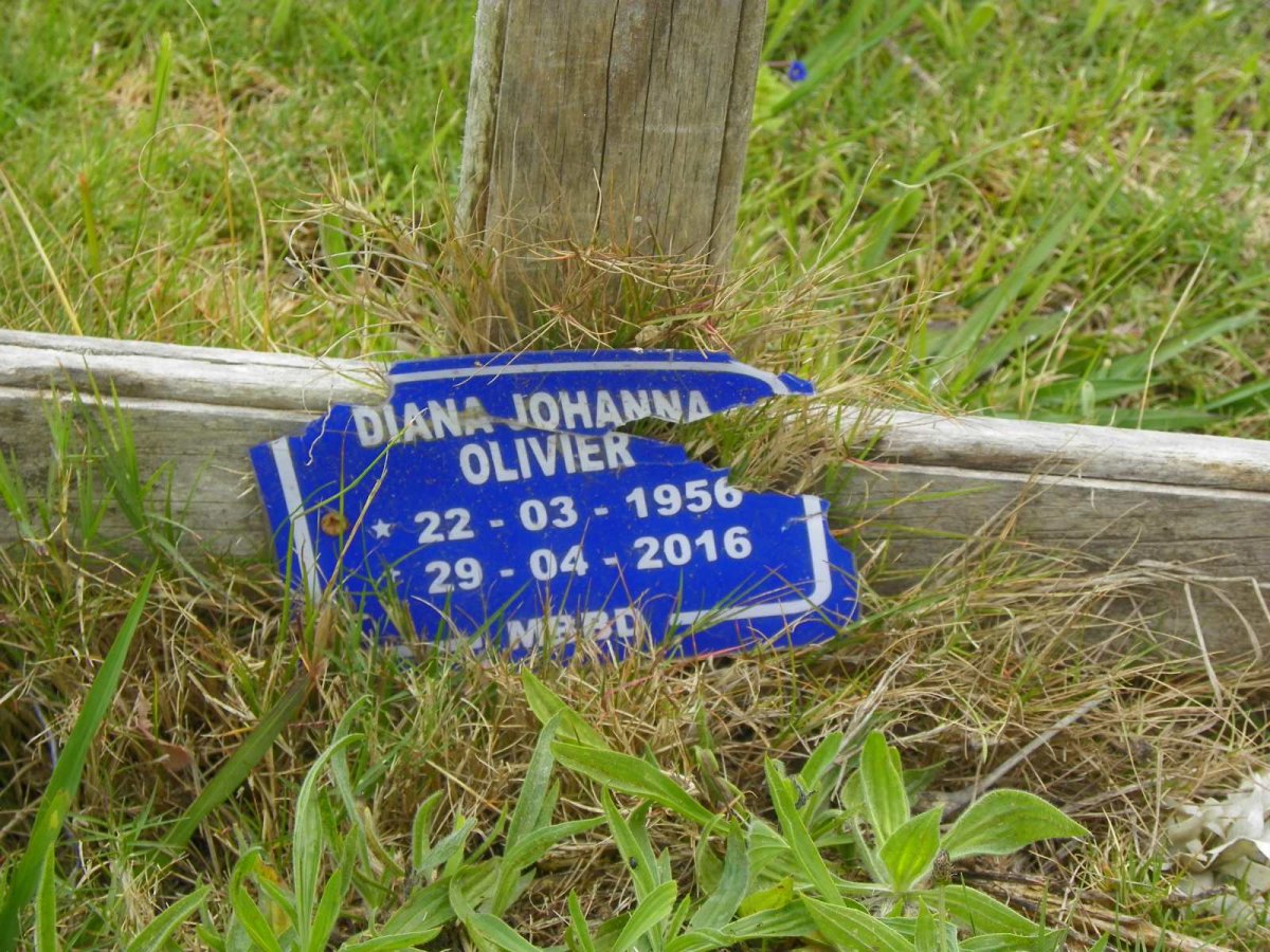 OLIVIER Diana Johanna 1956-2016