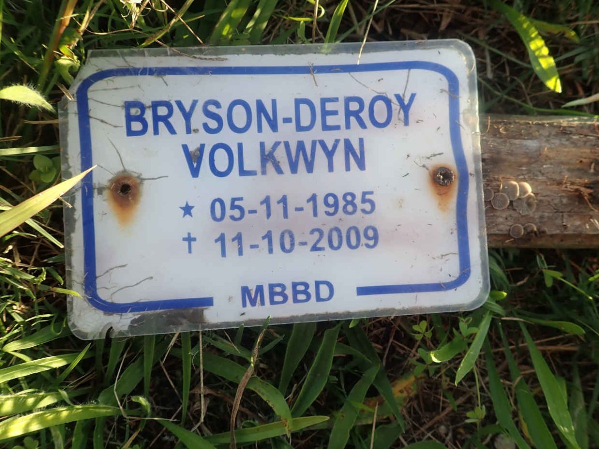 VOLKWYN Bryson-Deroy 1985-2009