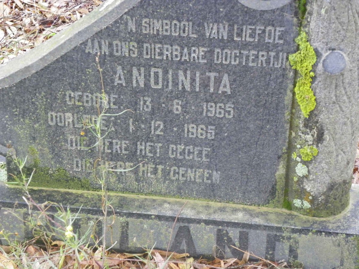 HOLAND Anoinita 1965-1965