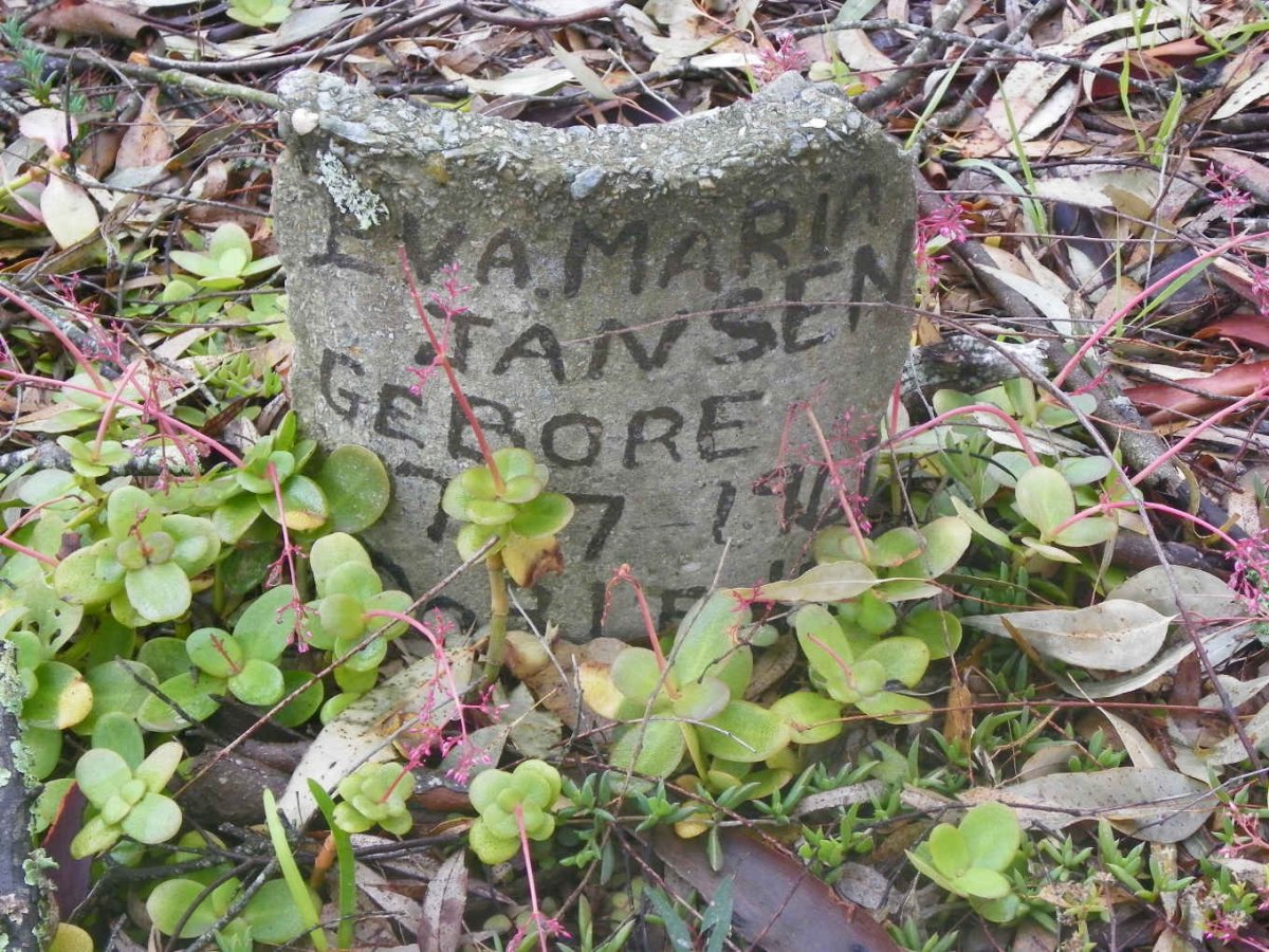 JANSEN Eva Maria 1961-