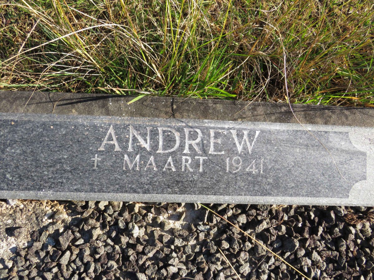 BATHGATE Andrew -1941 &amp; Rose -1961