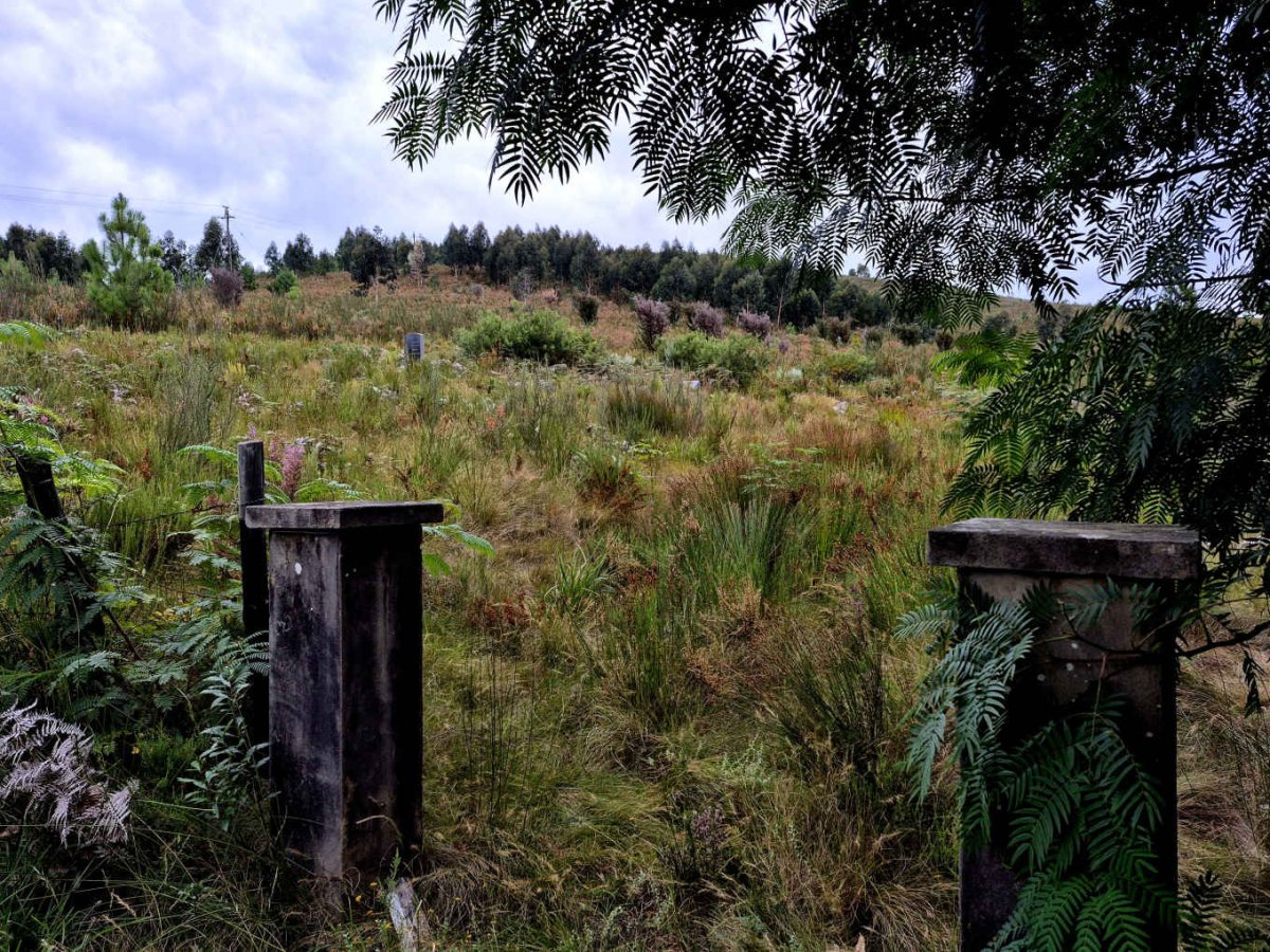 2. Oorsig/Overview