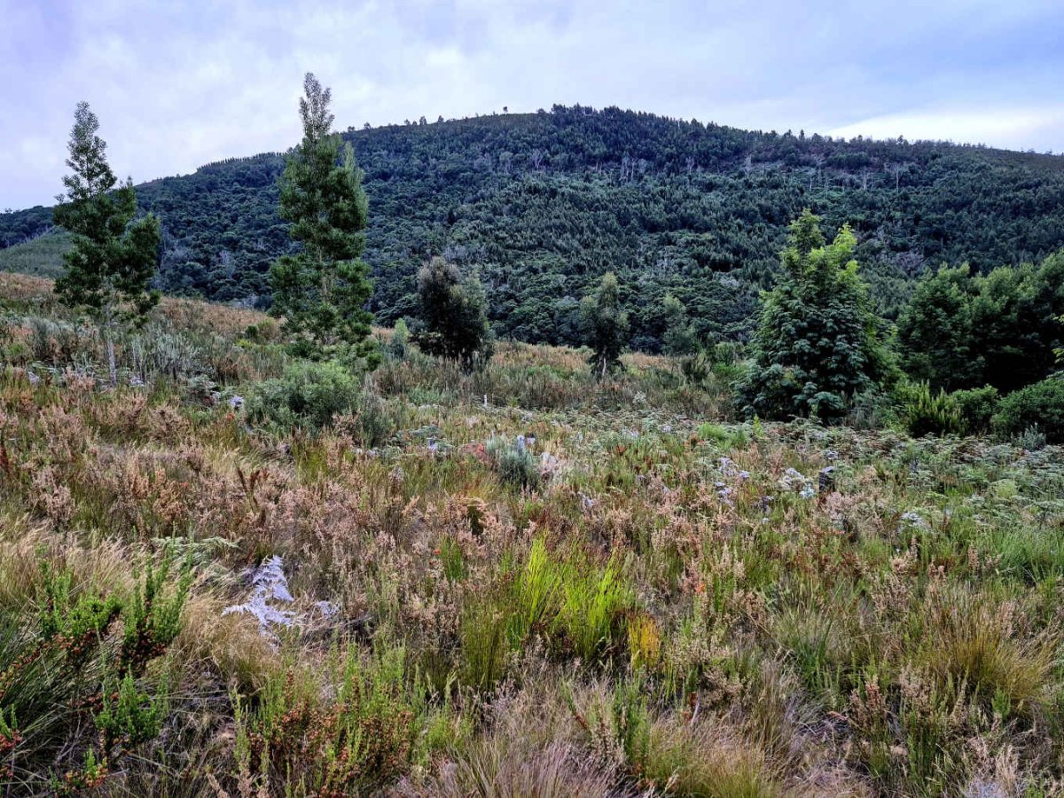 4. Oorsig/Overview