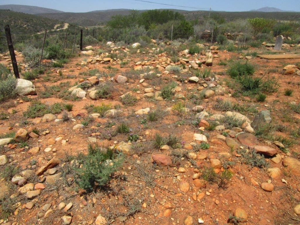 2. Overview of unmarked graves