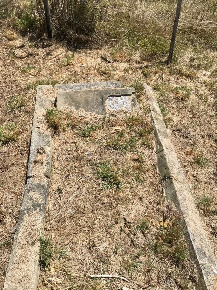 ?