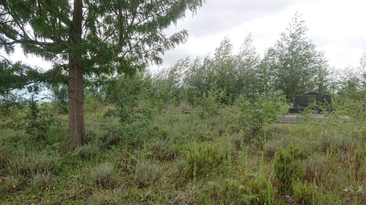 4. Oorsig / Overview