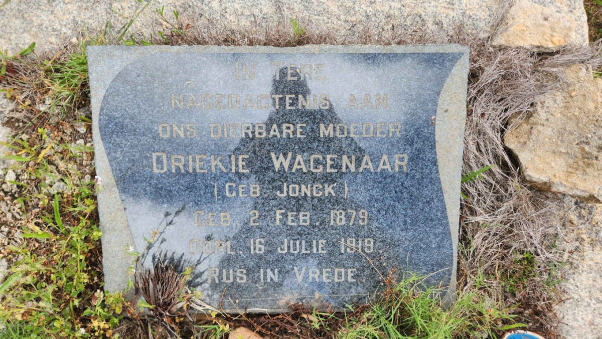 WAGENAAR Driekie nee JONCK 1879-1919