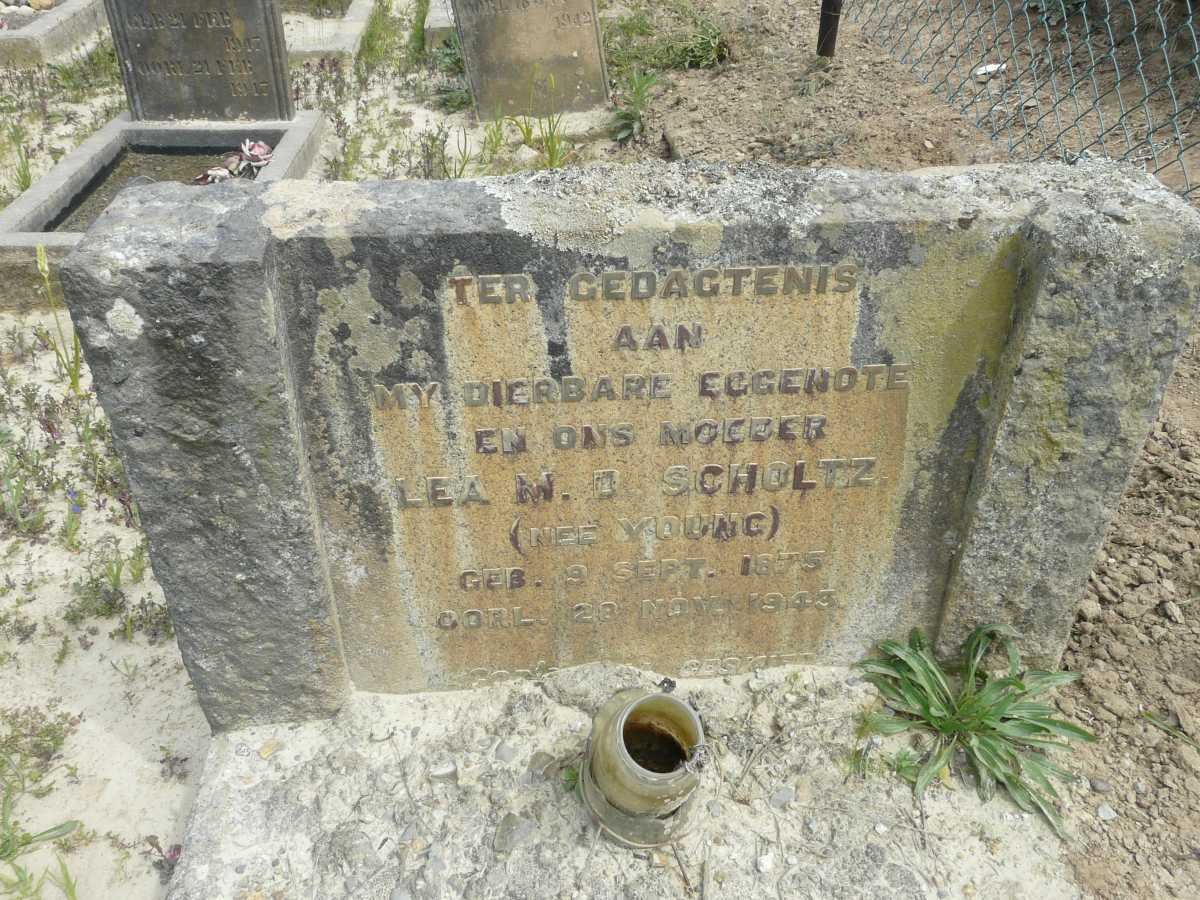 SCHOLTZ Lea M.D. nee YOUNG 1875-1943