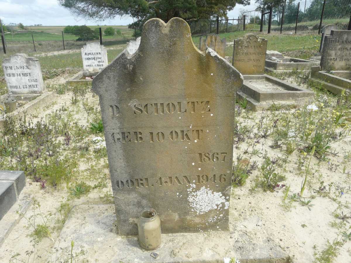 SCHOLTZ D. 1867-1946