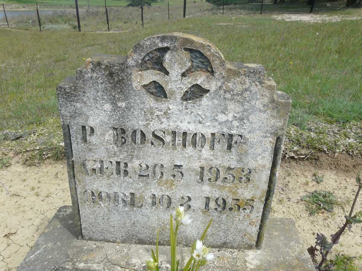 BOSHOFF P. 1953-1955