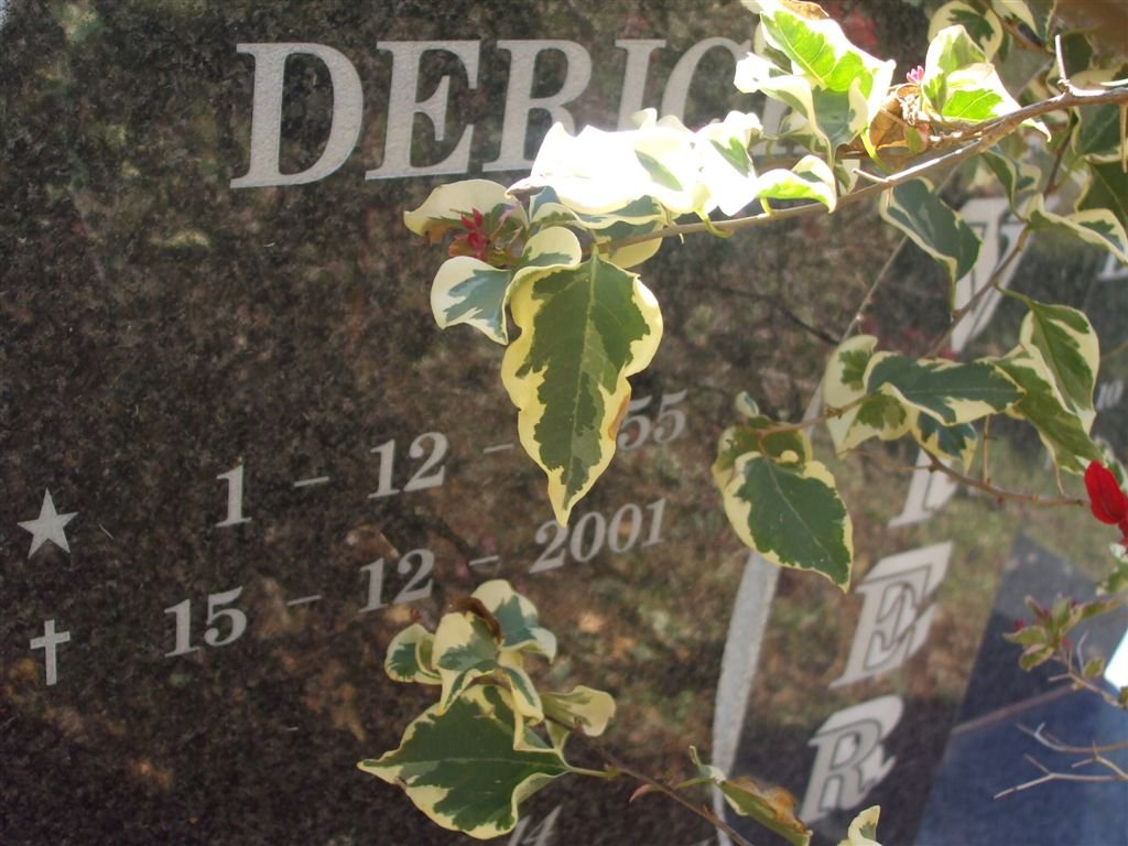 OLIVIER Derick 1955-2001