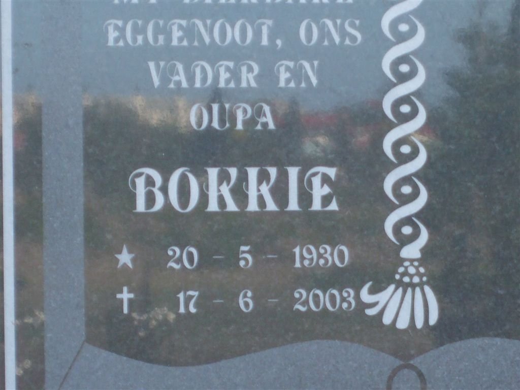 SCHUHARDT Bokkie 1930-2003