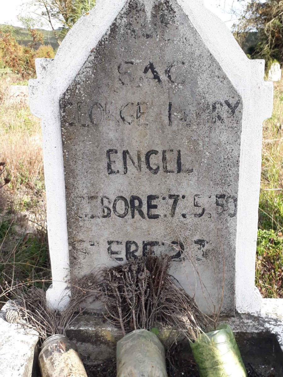 ENGEL George Henry 1950-