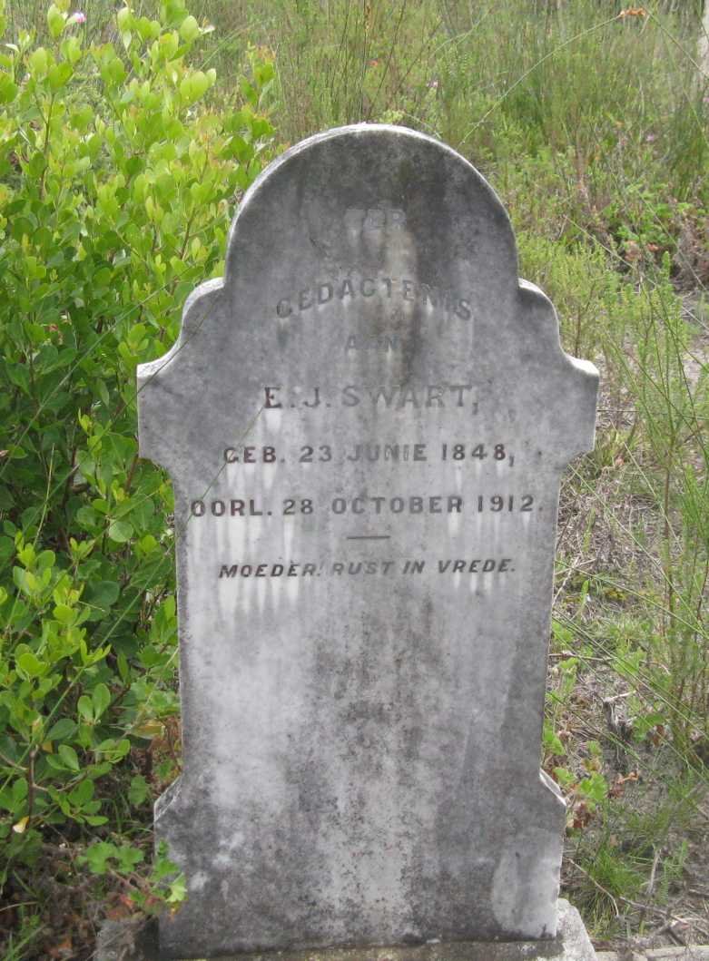 SWART E.J. 1848-1912